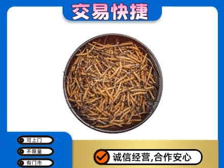 西工区礼品回收虫草.jpg